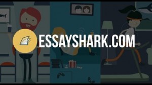 essayshark review